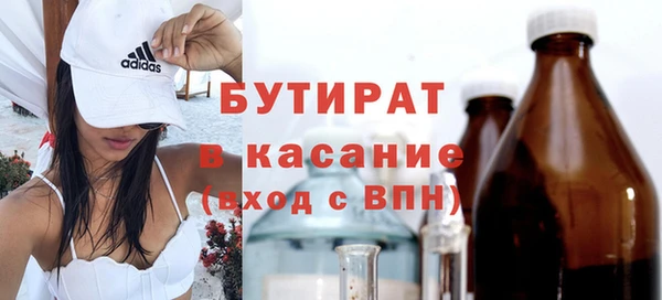 индика Арсеньев