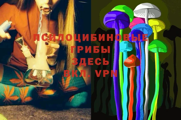 хмурый Каменка