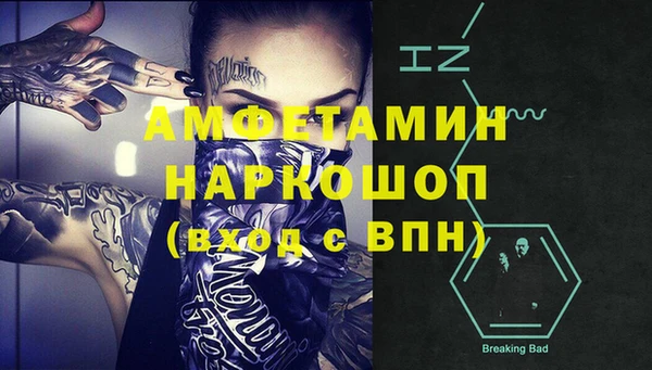 индика Арсеньев