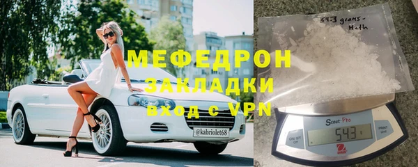 индика Арсеньев